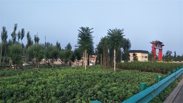 標(biāo)題：張家口經(jīng)開區(qū)腰站堡飲用水源地生態(tài)涵養(yǎng)綠化
瀏覽次數(shù)：2599
發(fā)表時(shí)間：2020-10-16