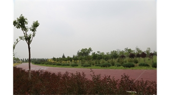 標(biāo)題：大青山南坡生態(tài)修復(fù)
瀏覽次數(shù)：2184
發(fā)表時間：2020-10-16