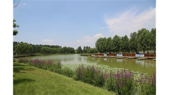 標(biāo)題：包頭市民公園
瀏覽次數(shù)：1620
發(fā)表時(shí)間：2020-10-16