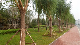 標(biāo)題：通遼市勝利北路道路景觀綠化
瀏覽次數(shù)：1610
發(fā)表時(shí)間：2020-10-16