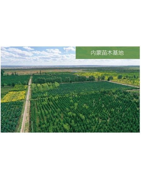 標題：苗木基地
瀏覽次數(shù)：2046
發(fā)表時間：2020-10-17