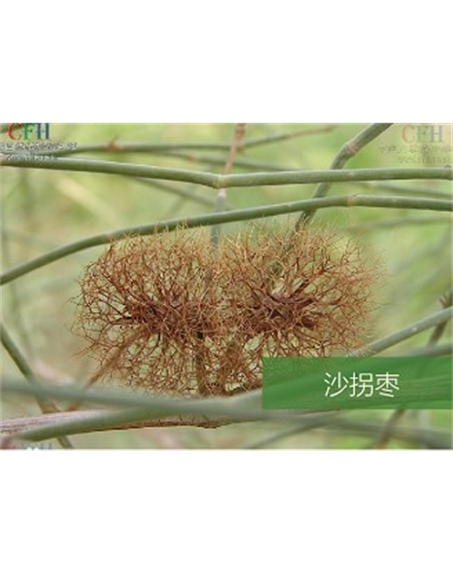 標(biāo)題：名貴樹(shù)種
瀏覽次數(shù)：1498
發(fā)表時(shí)間：2020-10-17