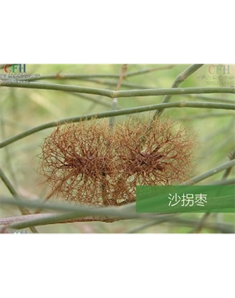 標(biāo)題：名貴樹種
瀏覽次數(shù)：1490
發(fā)表時(shí)間：2020-10-17