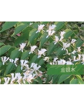 標(biāo)題：?jiǎn)坦嗄?瀏覽次數(shù)：1510
發(fā)表時(shí)間：2020-10-17