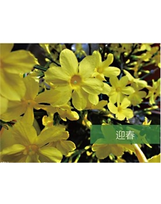 標(biāo)題：?jiǎn)坦嗄?瀏覽次數(shù)：1434
發(fā)表時(shí)間：2020-10-17